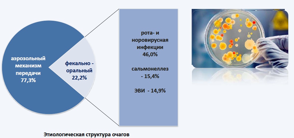 Этиологическая структура очагов инфекционных болезней в Российской Федерации в 2013 году