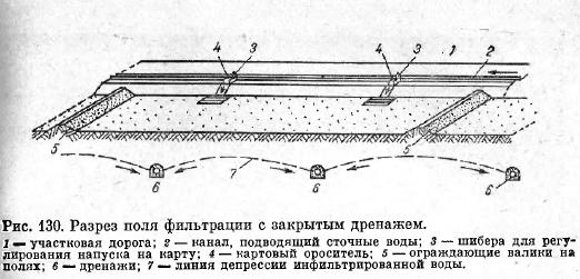 Разрез поля фильтрации с закрытым дренажем