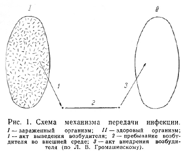 Механизм передачи инфекции